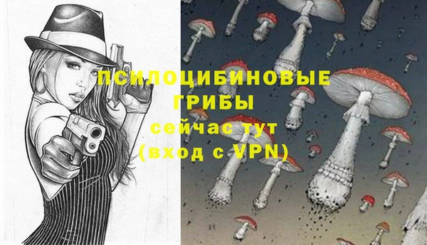 амф Белокуриха