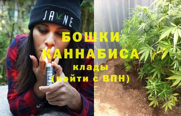 амф Белокуриха