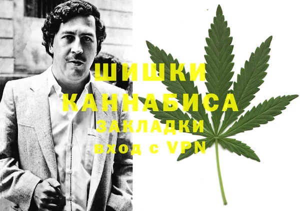 амф Белокуриха