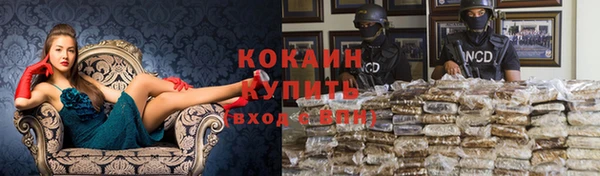 амф Белокуриха