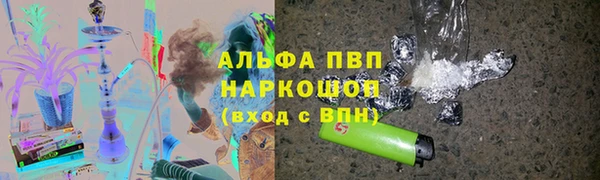 индика Снежногорск