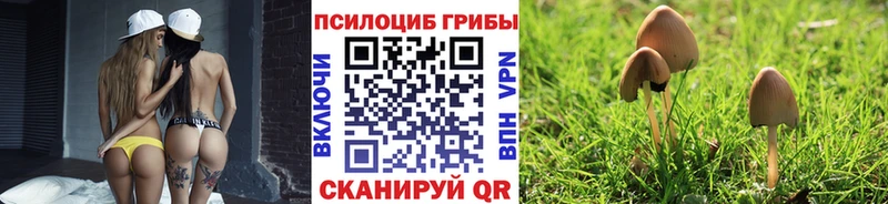 Псилоцибиновые грибы ЛСД  blacksprut ONION  Велиж  наркошоп 